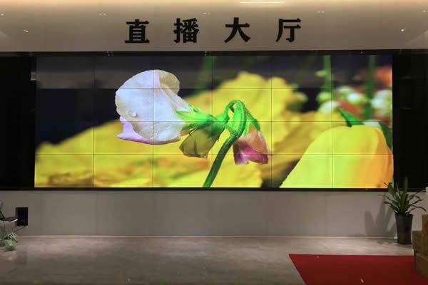 直播大屏用哪種好，直播大屏有哪些